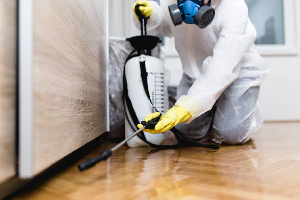 Best Pest Prevention Services  in Napili Honokowai, HI