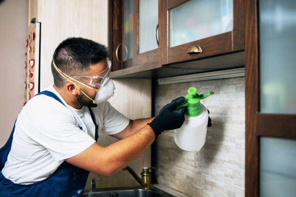 Best Residential Pest Control  in Napili Honokowai, HI