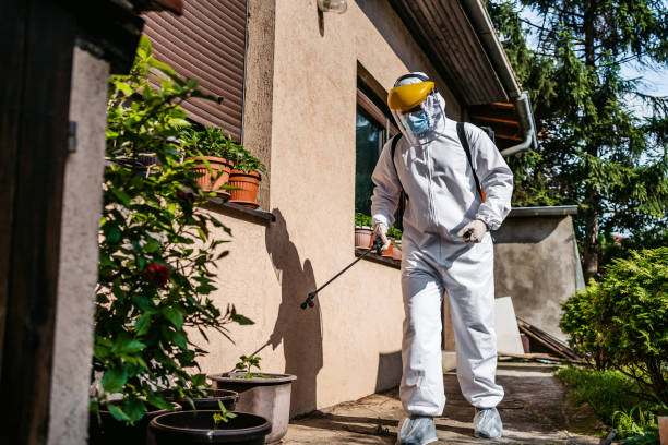 Best Mosquito Control Services  in Napili Honokowai, HI