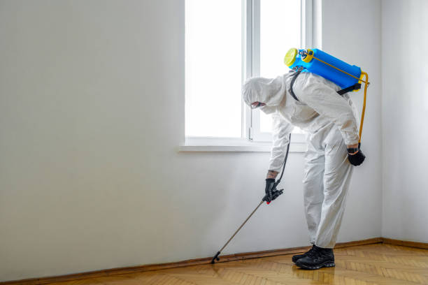 Best Best Pest Control Companies  in Napili Honokowai, HI