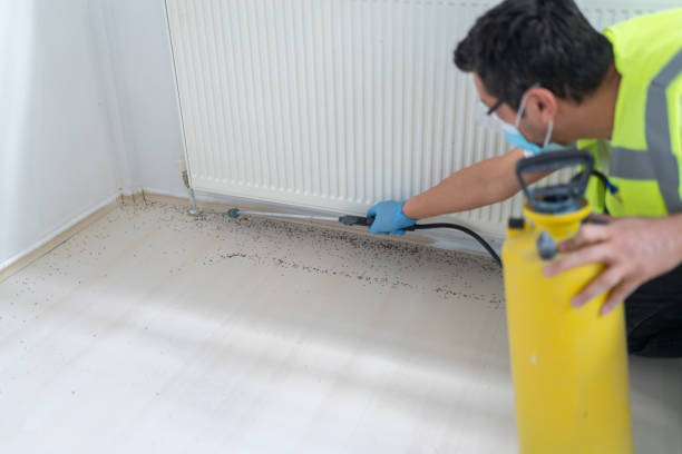 Best Pest Inspection Near Me  in Napili Honokowai, HI