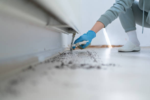 Best Exterminator Services  in Napili Honokowai, HI