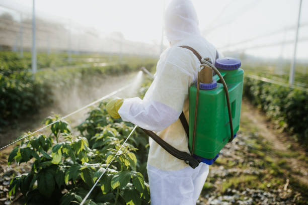 Best Commercial Pest Control Services  in Napili Honokowai, HI